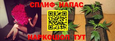 мяу мяу мука Тара