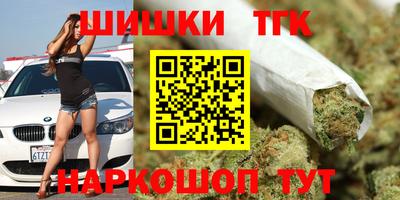 МДПВ Татарск