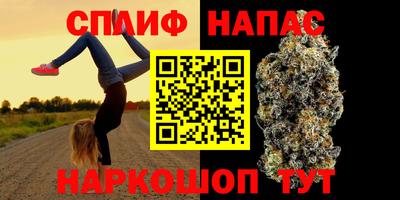 МДПВ Татарск