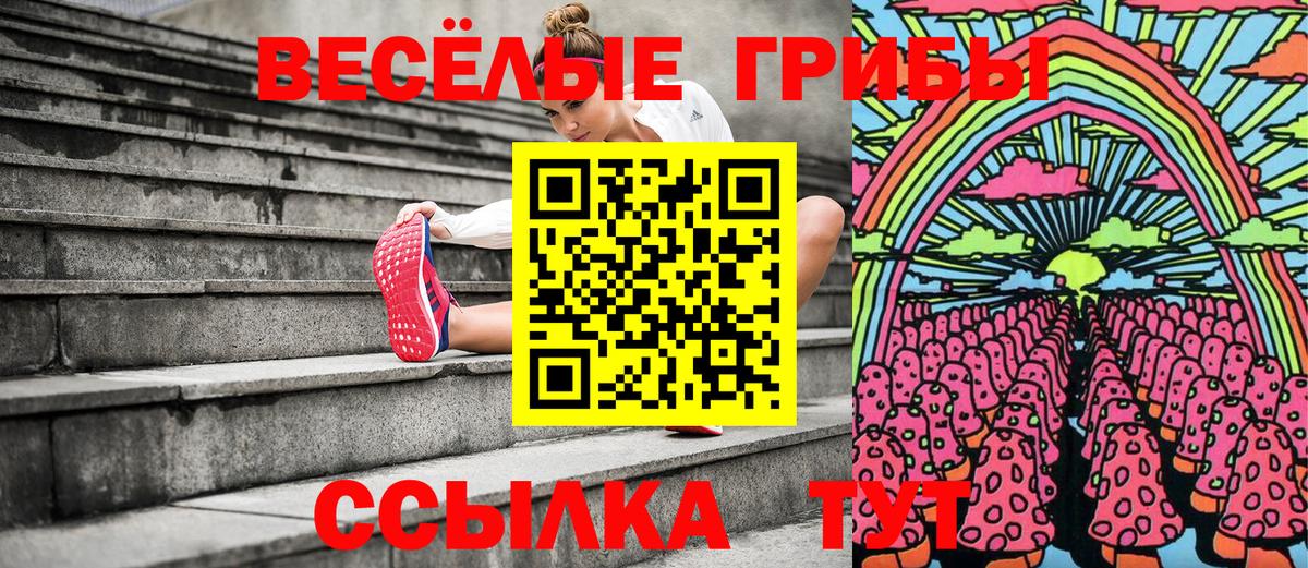 Галлюциногенные грибы прущие грибы  Вход с VPN  Саяногорск 